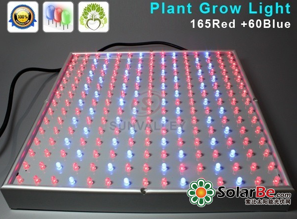 技术干货：如何实现光伏大棚农光效益双丰收？