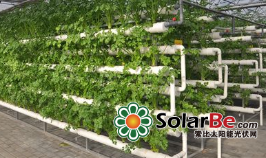 技术干货：如何实现光伏大棚农光效益双丰收？