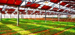 将设“百亿光伏农业产业基金”，多方助力农业创客发展