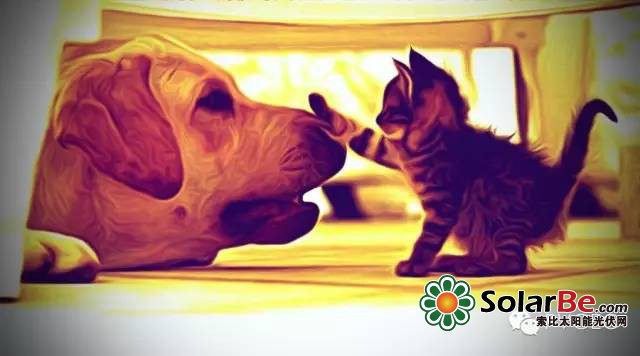 【小编卷首语】