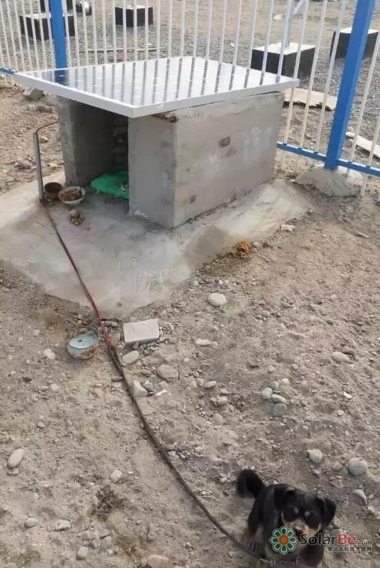中国第一个光伏狗舍在敦煌建成