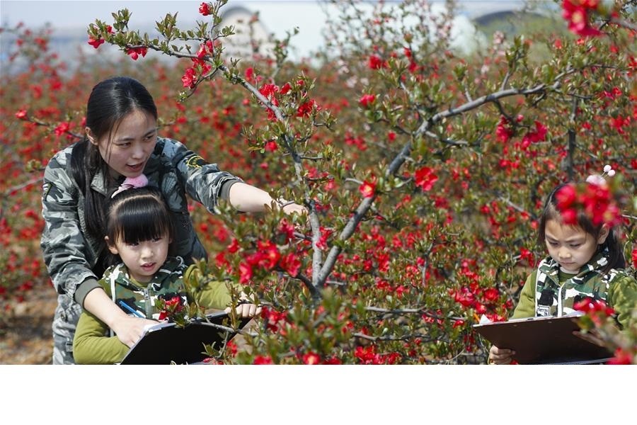 河北秦皇岛光伏农业科技示范项目并网投运