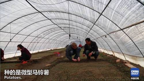 “太阳给我们送钱”,总书记帮算脱贫账,十年九旱的德胜村如何点石成金?