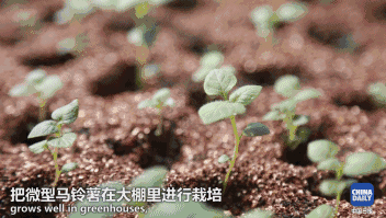 四五年前,徐海成一年只能赚到不到1万块钱,但去年他的年收入就增长到了4万多元。