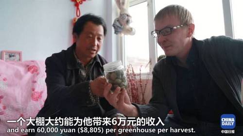 村支书叶润兵说,今年村里280个大棚已经给村民分到户了。