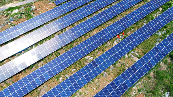 光伏扶贫电站发力 萧县8000贫困户受益