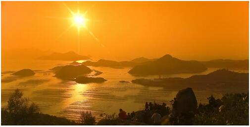 光伏新政实施：发展的问题通过发展去解决， 市场的问题尽量用市场机制解决