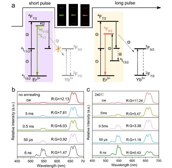 表面缺陷的直接识别及其对上转换纳米粒子光学特性的影响
