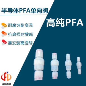 PFA单向阀半导体清洗阀门止回阀氟隆达科技-- 厦门氟隆达科技有限公司