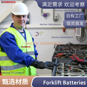 阿联酋 96V 3PZS180 牵引电池 96V50A充电机-- 德国银杉电力能源物资有限公司