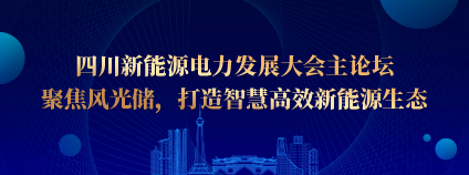 四川新能源电力发展大会