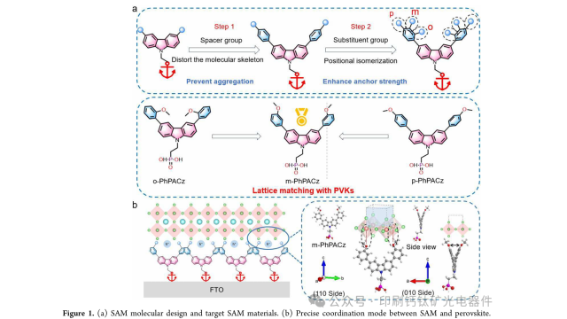 河南大学李萌&厦门大学王露遥最新JACS：26.2%！定制晶格匹配咔唑自组装分子用于高效稳定的钙钛矿太阳能电池
