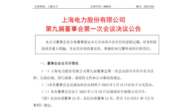 国家电投上海电力高层调整！