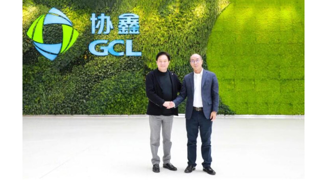 商务部投资促进事务局副局长杨依杭调研协鑫