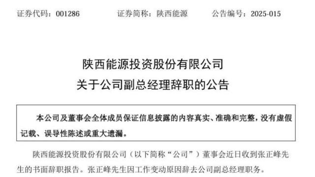 陕西能源副总经理辞任