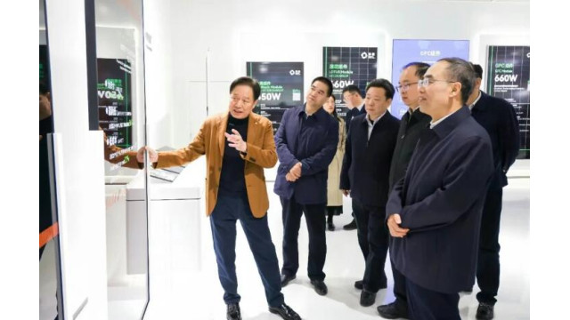 国家统计局副局长蔺涛考察调研协鑫