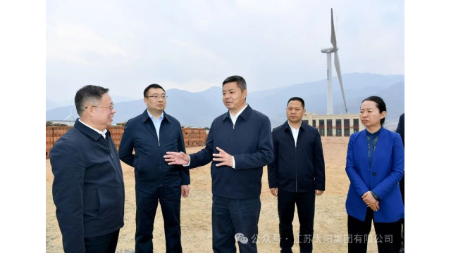金绿能电力3GW硅片+3GW组件项目即将投产