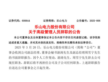 乐山电力副总经理辞任！