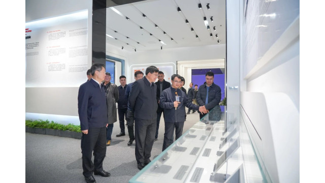 国务院参事、国家发展改革委原副主任胡祖才一行调研通威太阳能