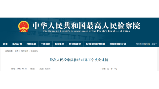 海关总署原副署长孙玉宁被捕
