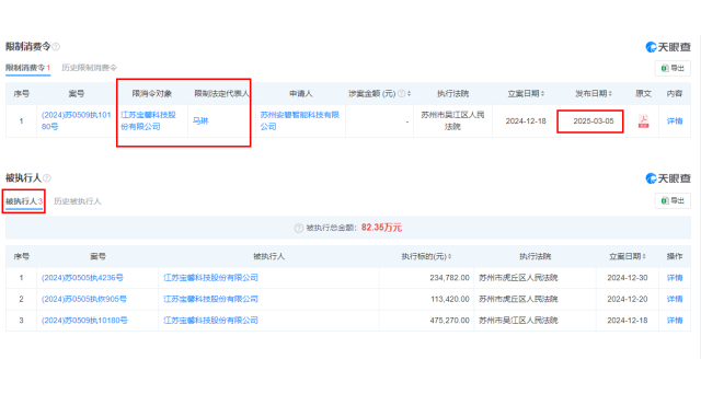 跨界HJT企业宝馨科技董事长“被限制消费”