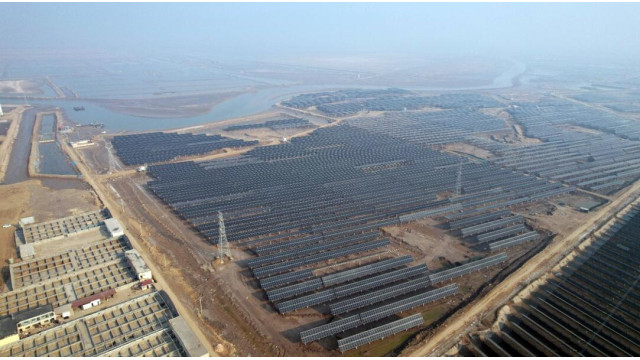 品质与服务的保障|天合跟踪领航东营400MW渔光互补项目交付