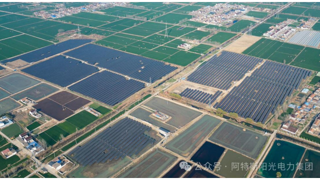 光伏板下鱼蟹肥！阿特斯携手中核打造100兆瓦江苏渔光互补新范式