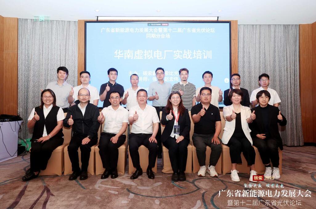 深入探索虛擬電廠：關鍵技術與實踐應用的全面覆蓋