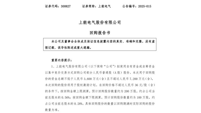 上能电气：拟斥资不低于3600万元回购股份