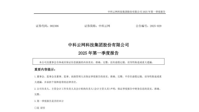 中科云网：2025年第一季度营收9961.95万元，同比增长229.99%