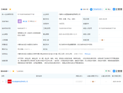 隆基绿能成立新公司