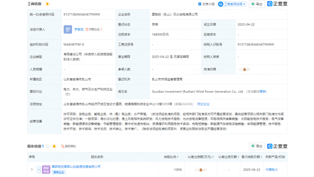 国家电投成立新能源公司，含光伏业务