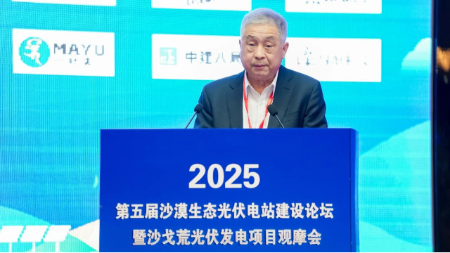 中国光伏行业协会名誉理事长王勃华：扩大光伏应用场景，推进光伏发电与防沙治沙领域深度融合