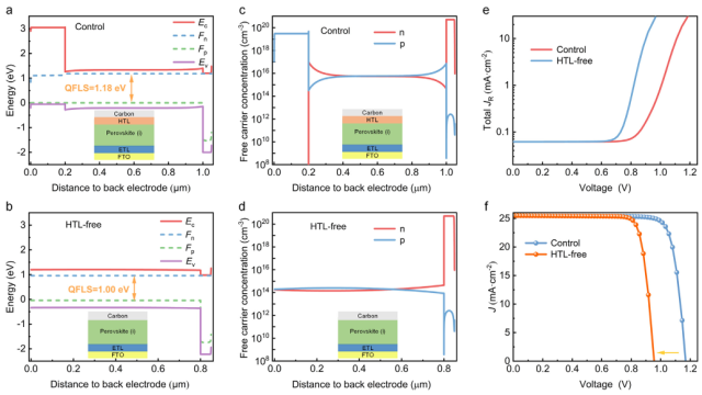 华中科技大学周阳最新AM：双功能化合物诱导双背面场用于高效无空穴传输层钙钛矿太阳能电池