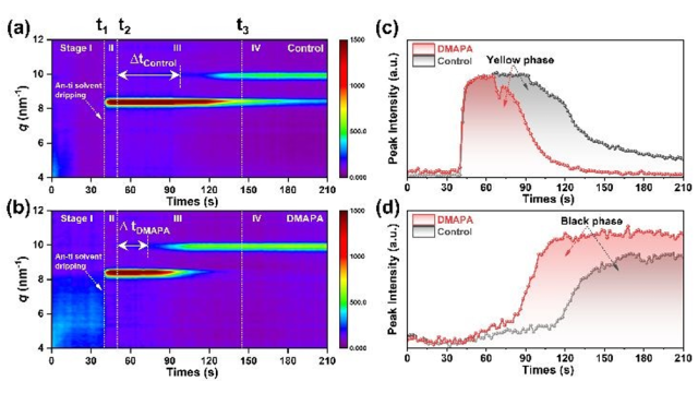 云南大学张文华最新EES：路易斯碱分子集成用于高效稳定的反式钙钛矿太阳能电池