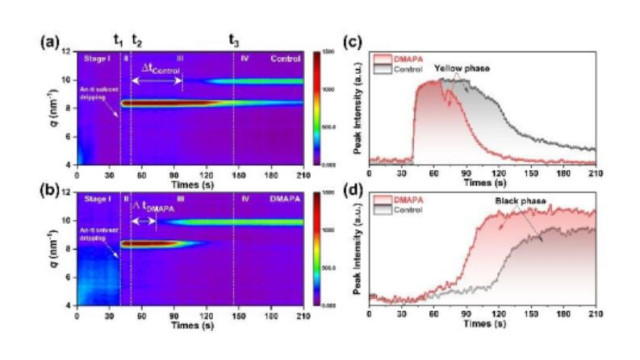 云南大学张文华 EES:高效稳定的倒置钙钛矿太阳能电池用路易斯碱的分子整合