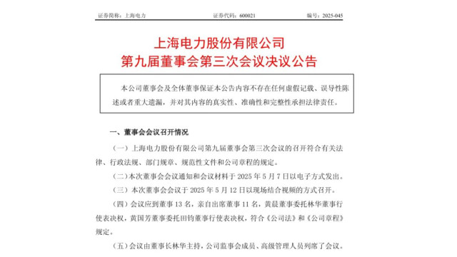 上海电力高层最新人事调整