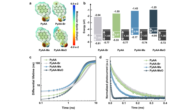 浙江大学薛晶晶&杨德仁院士最新NC：分子接触中的诱导效应使宽带隙钙钛矿电池能够实现高效的钙钛矿/TOPCon叠层