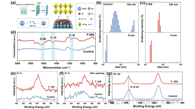 大连化物所刘生忠&杨栋AEM：甲脒原位辅助钙钛矿太阳能电池埋底界面