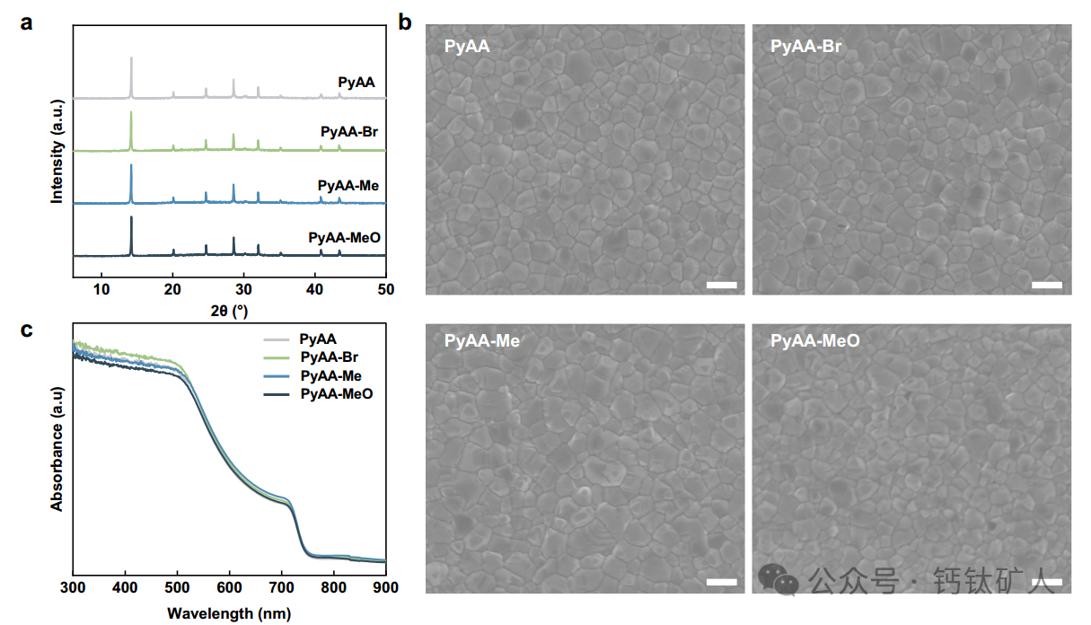 31.1%！浙大薛晶晶团队：SAM分子接触中的诱导效应实现高效的钙钛矿/TOPCon叠层电池