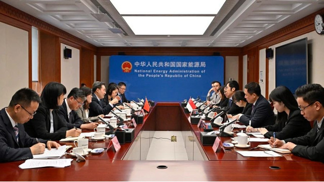 国家能源局局长王宏志会见新加坡能源市场管理局局长潘国强