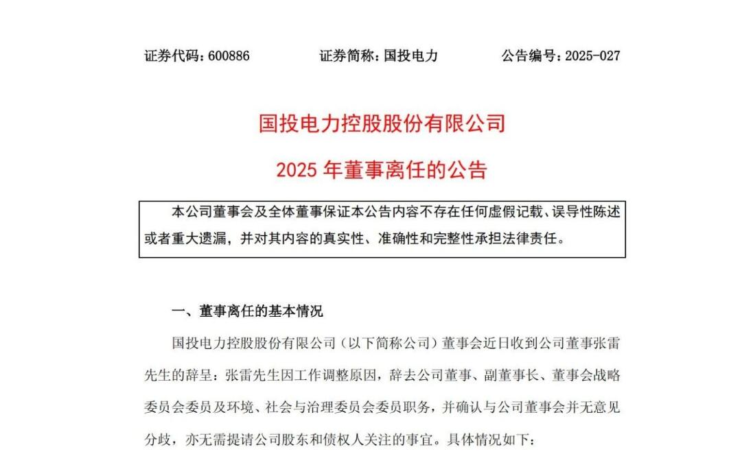 国投电力副董事长张雷辞任！