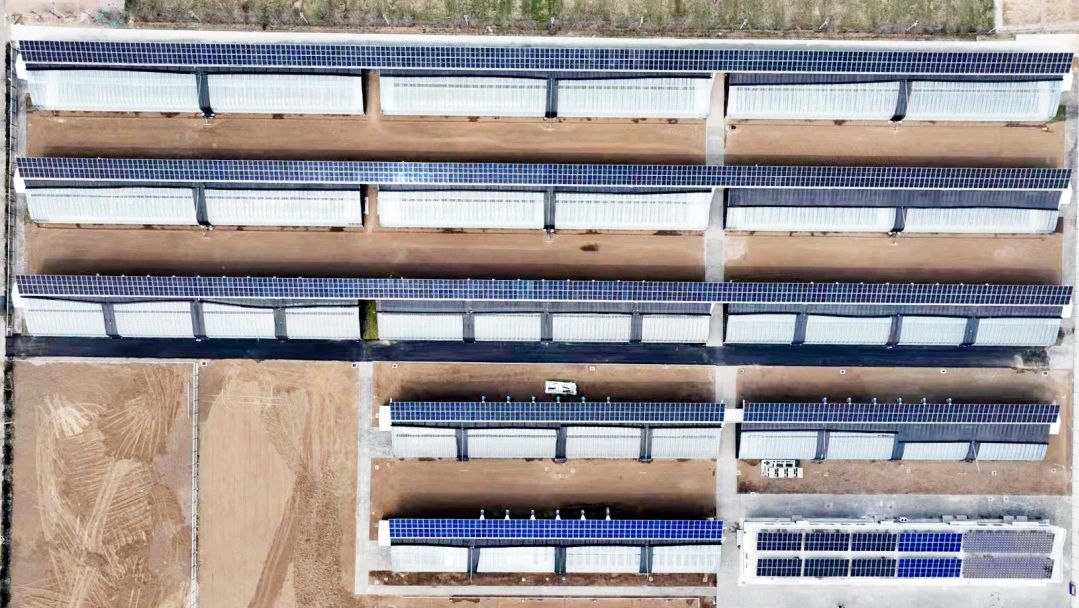 京能国际大兴庄产业融合项目获评2024年度北京市先进低碳技术试点优秀项目