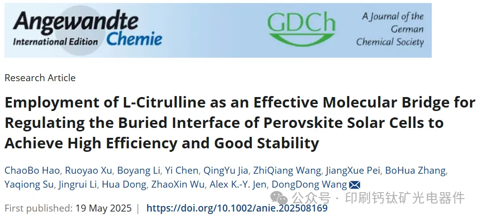 西安交通大学王栋东Angew：利用L-瓜氨酸作为有效分子桥调控钙钛矿太阳能电池埋界面实现高效率和良好稳定性