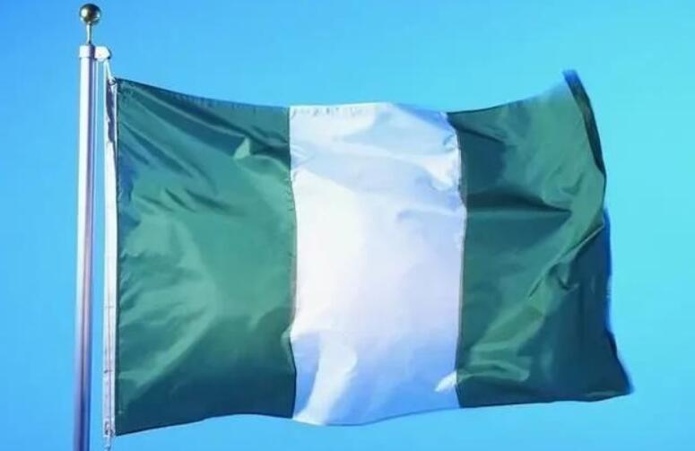 360万美元！英国投资者拟在尼日利亚建设50MW光伏项目