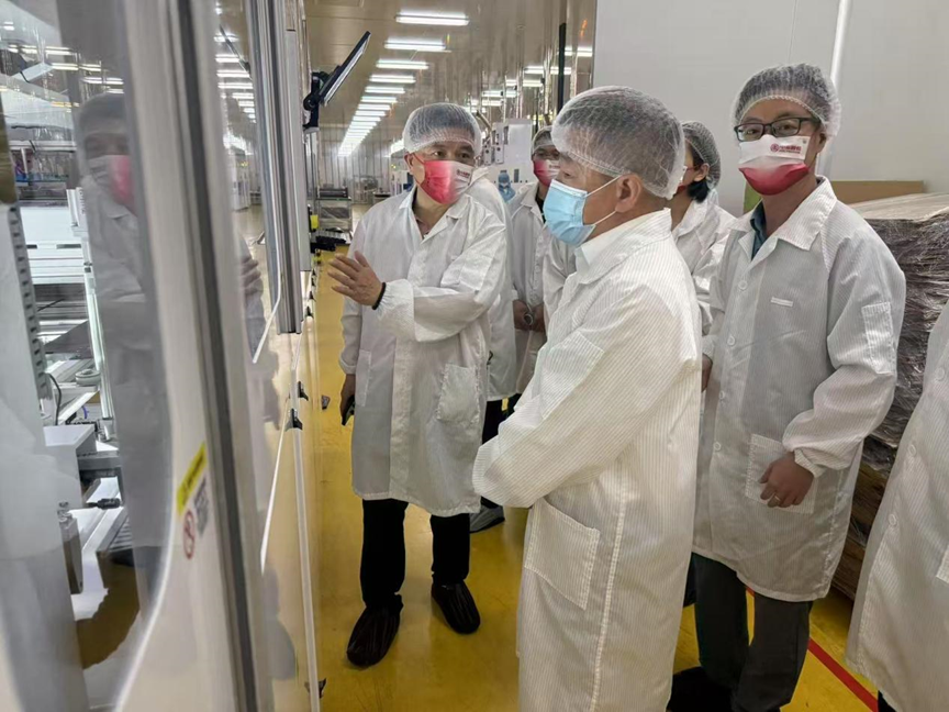 浙能集团赴泰州中来光电开展安全生产调研