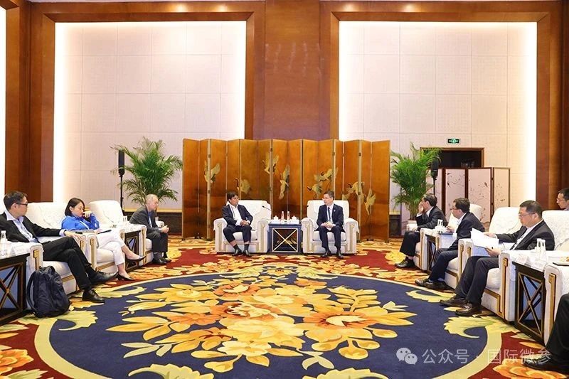 中国电建董事长陈观福与沙捞越能源首席执行官沙比尼·苏海利举行会谈