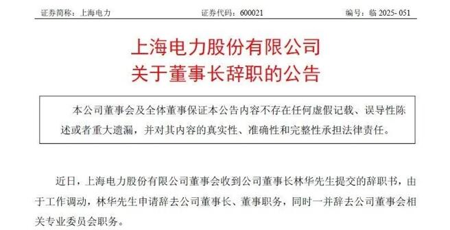 上海电力董事长辞任！
