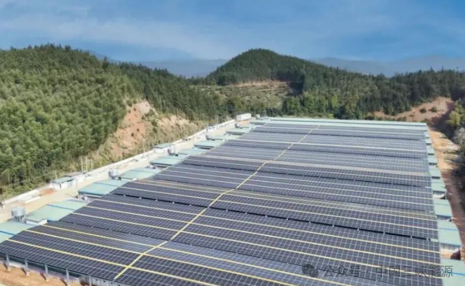 福建省装机规模最大屋顶分布式光伏项目实现全容量并网