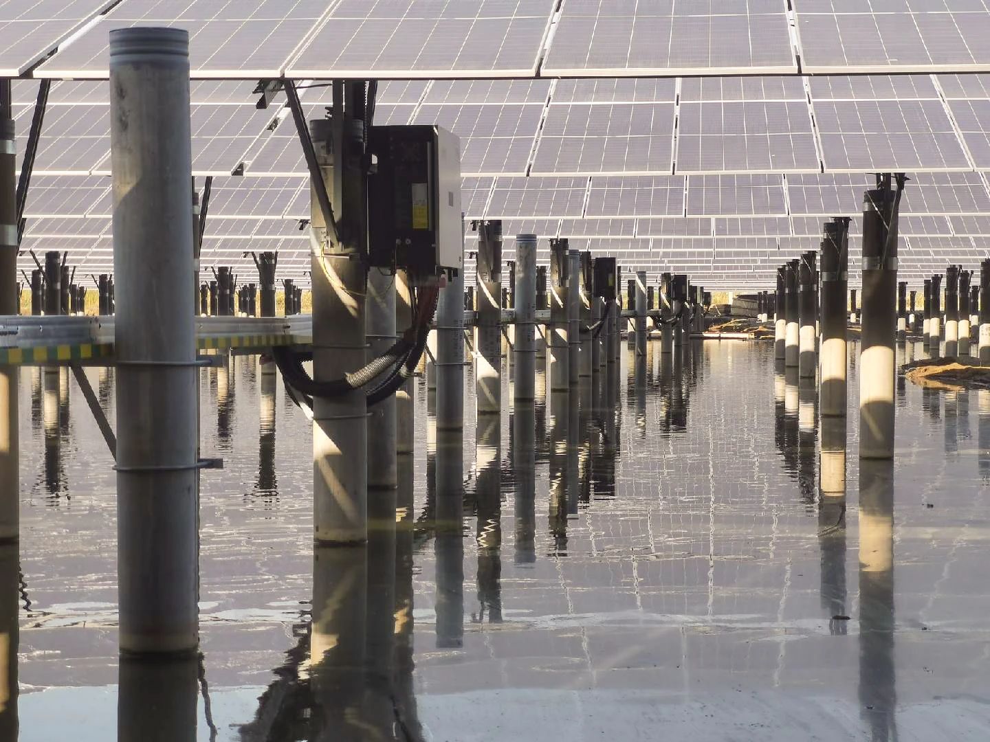 一亩地两份收入!正泰电源50MW项目让阳光‘捕鱼’又‘发电’！